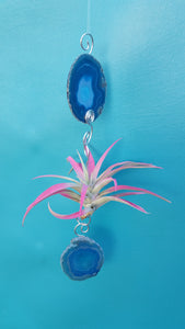 Blue Agate single with pink air plant