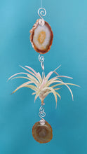 Load image into Gallery viewer, Brown Agate Single with green air plant
