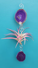 Load image into Gallery viewer, Purple Agate Single with pink air plant
