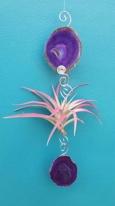 Purple Agate Single with pink air plant