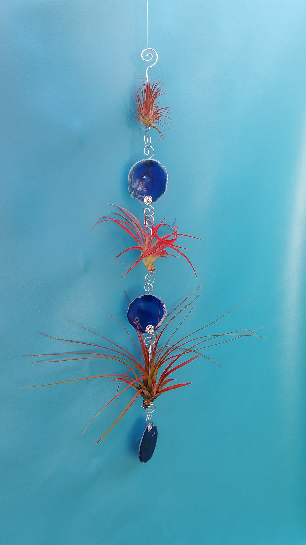 Blue Agate Triple with red air plants