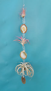 Brown Agate Triple Deluxe with pink air plants