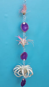 Purple Agate triple Deluxe with pink air plants
