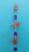 Load image into Gallery viewer, Purple Agate triple with red air plants
