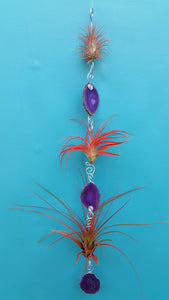 Purple Agate triple with red air plants
