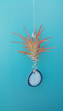 Load image into Gallery viewer, Blue Agate Twiddle with red air plant
