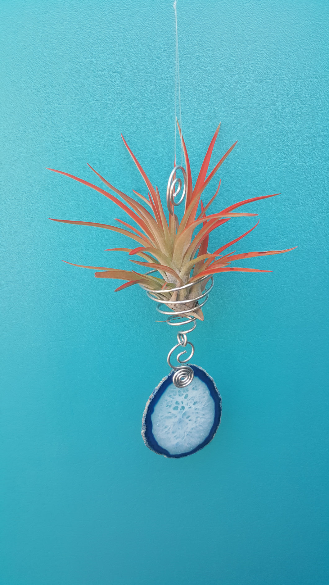 Blue Agate Twiddle with red air plant