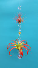 Load image into Gallery viewer, Gold Acrylic beads with red air plants
