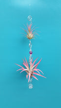 Load image into Gallery viewer, Purple Acrylic beads with pink air plants
