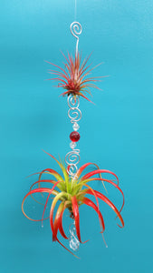 Red Acrylic beads with red air plants
