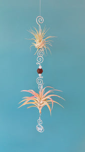 Wood beads with green air plants