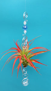 Blue Acrylic beads with red air plants