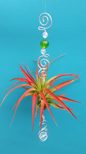 Green Acrylic beads with red air plants
