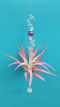 Load image into Gallery viewer, Purple Acrylic beads with pink air plants

