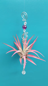 Purple Acrylic beads with pink air plants