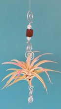 Load image into Gallery viewer, Wood beads with green air plants
